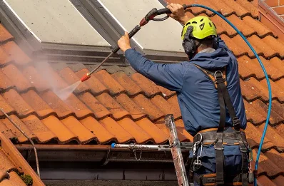 Démoussage et hydrofuge de toiture à Aubord